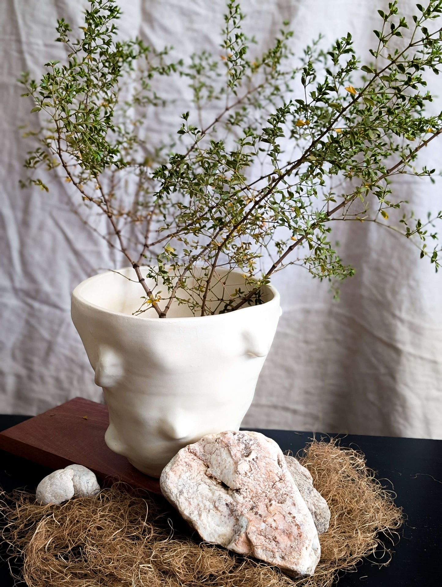 Rock Vase